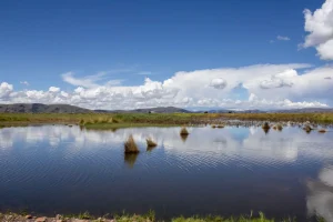 Planalto andino na estrada de Cusco para Puno