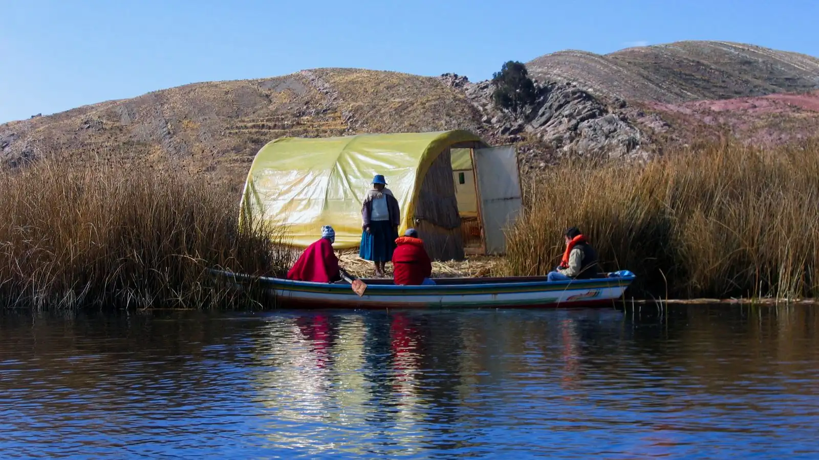 Totora reed beds on the shore of Lake Titicaca near Puno